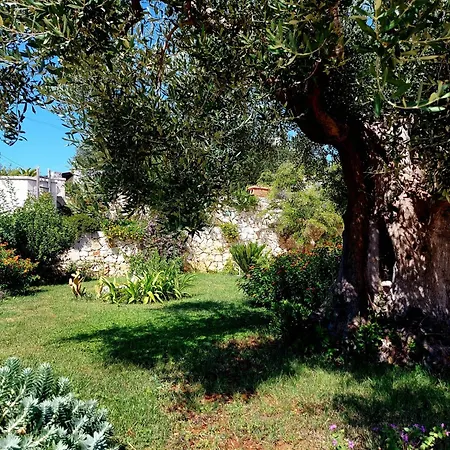 Casale Marangi Apartment